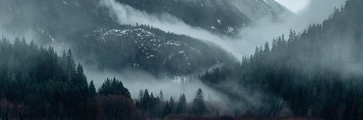 lightbug01's profile banner image