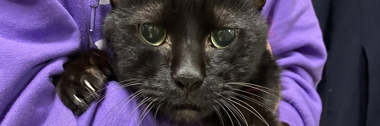 聞いてくれ赤ちゃん（きいあか） banner