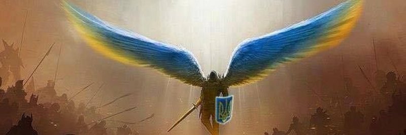 observer.root banner