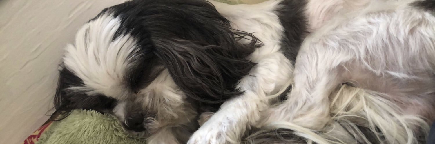 aiymur_'s profile banner image