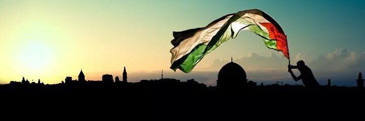 m_7ariry's profile banner image