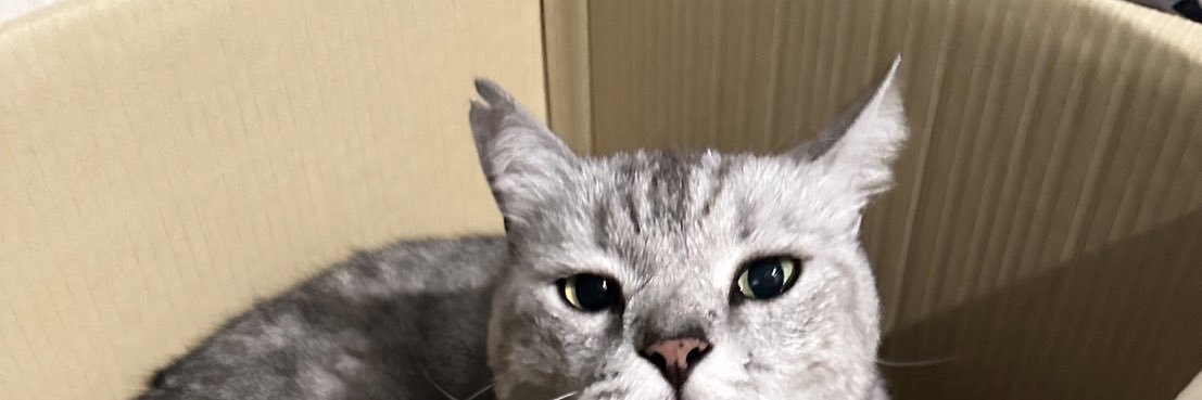miwtizz's profile banner image