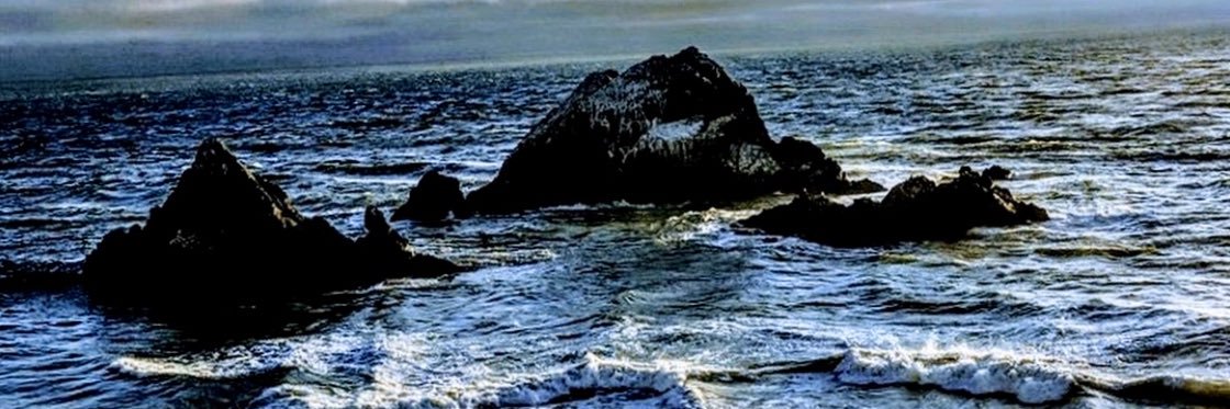 Kelly_Browne's profile banner image