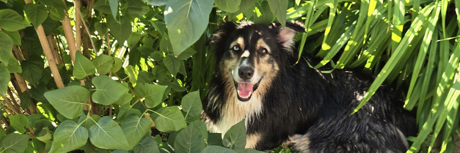 Margaret tell me the truth banner