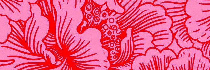 sofi_AC__'s profile banner image