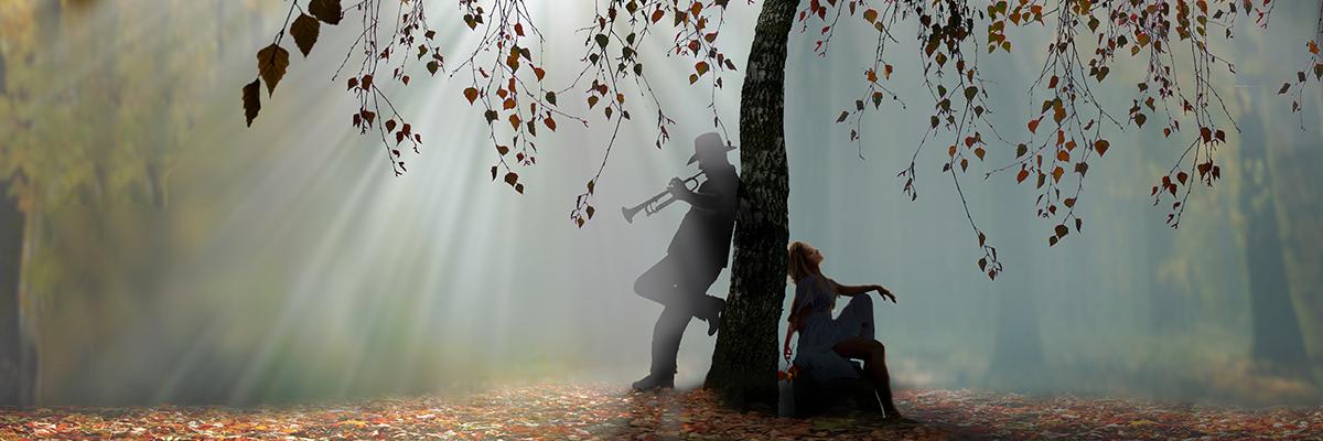 VDisko's profile banner image