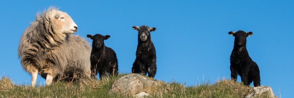 Treshnish Profile Banner