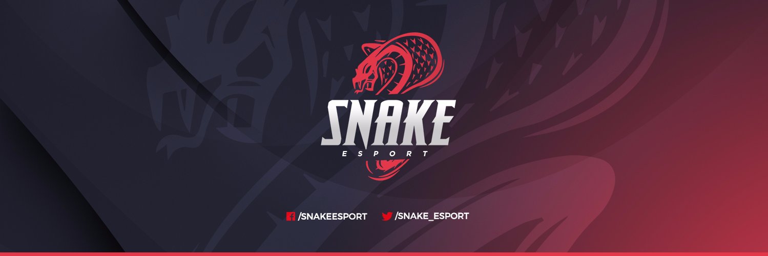 SnaKe Esport banner