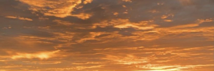 sarinhahmd's profile banner image