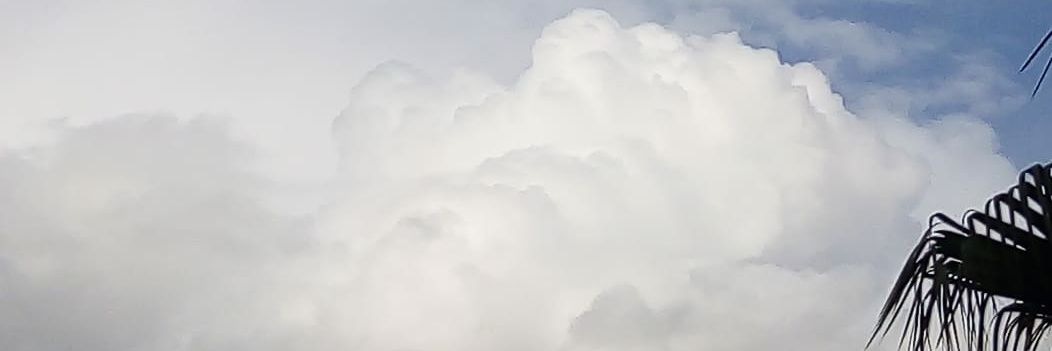 rehamsheko's profile banner image