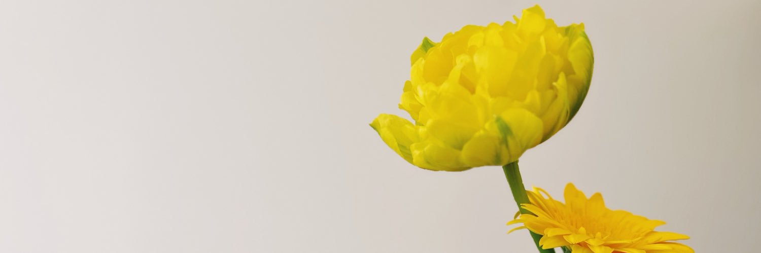 m_moos's profile banner image
