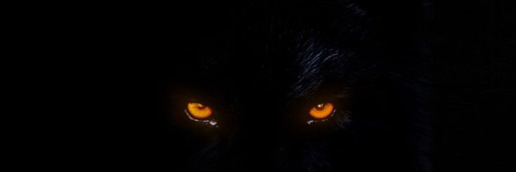 montebrancoju's profile banner image