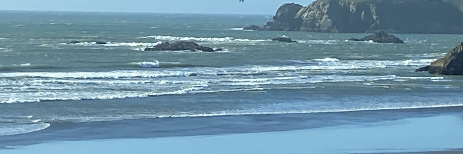 Brett banner