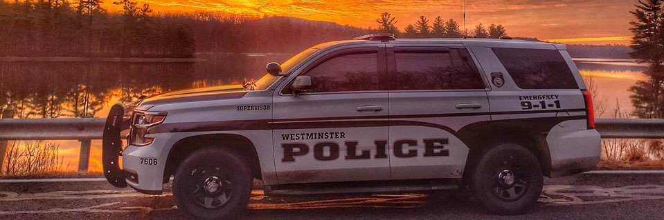 WestminsterPDMA's profile banner image