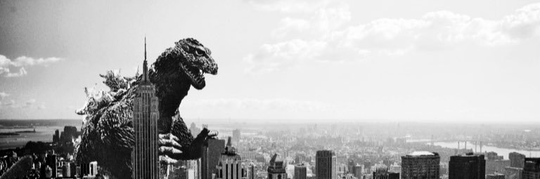 ericl994's profile banner image