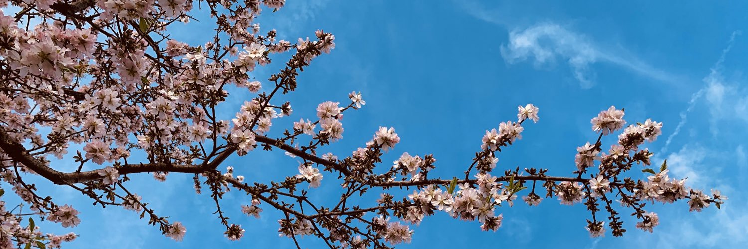martu 💫 banner