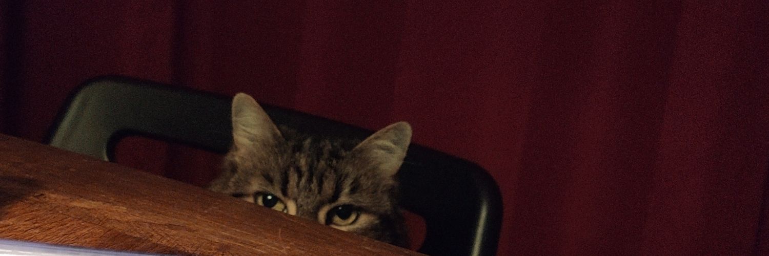 PorteTesteur104's profile banner image
