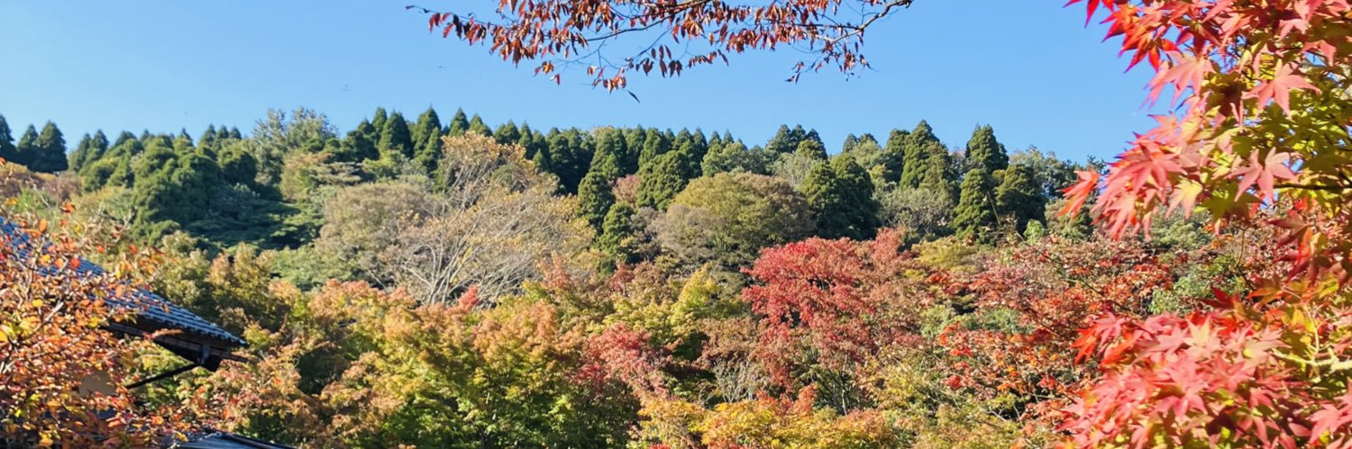 basspyon's profile banner image