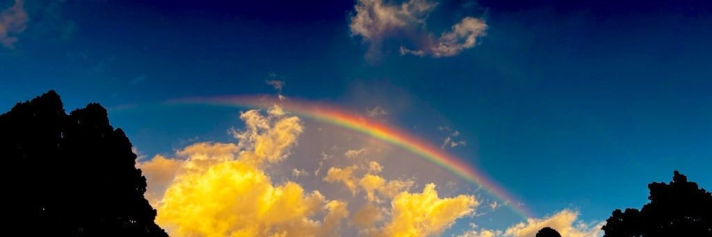 zuki314's profile banner image