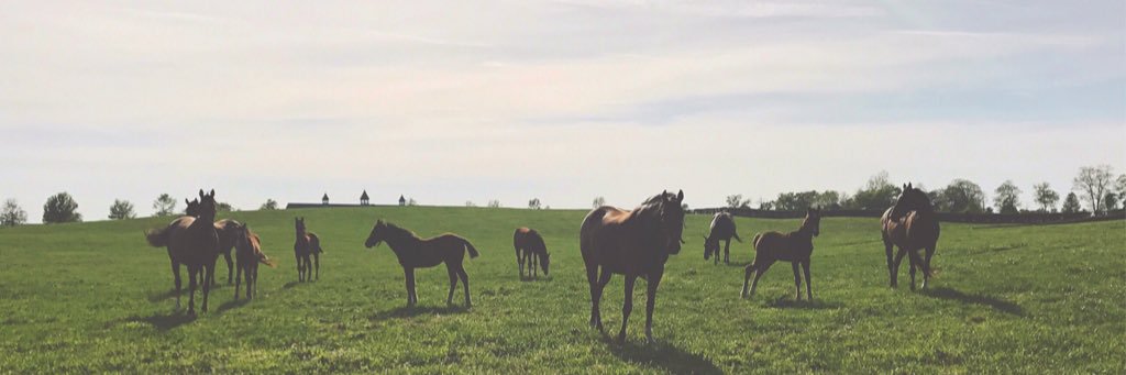 f_obyrne's profile banner image