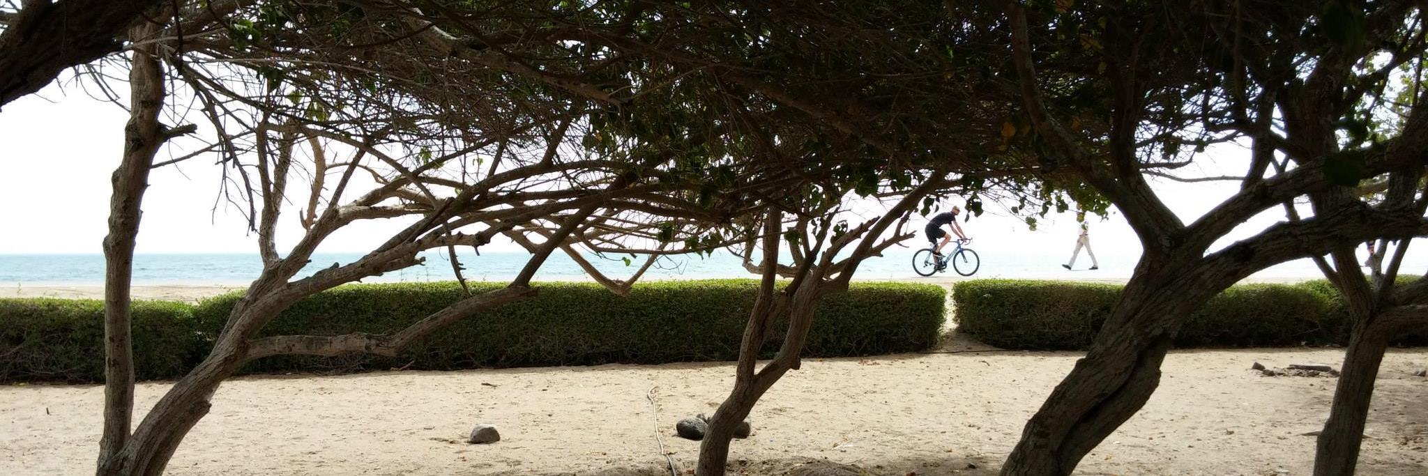 Benoît Vittek banner