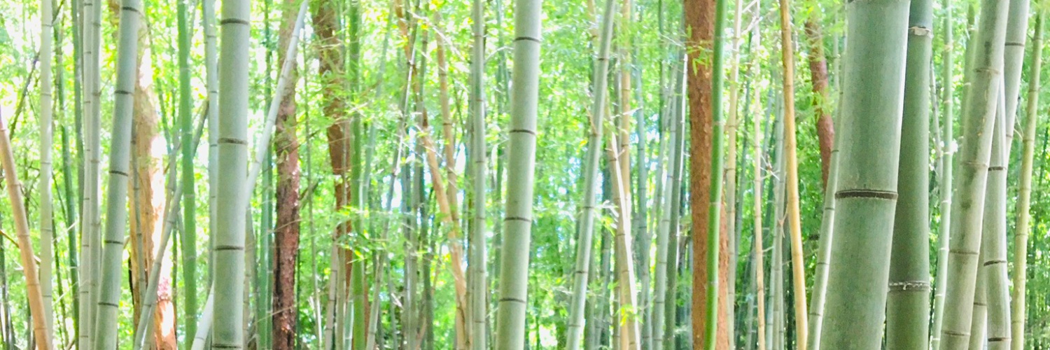 tkrmr71's profile banner image