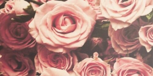 MichelleSCAL's profile banner image