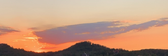 themarzipanpie's profile banner image