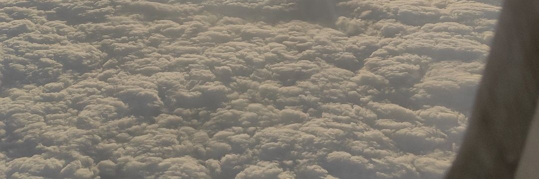 Matheus Francisco da Silva banner