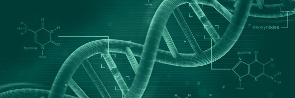 pKotsikis Profile Banner