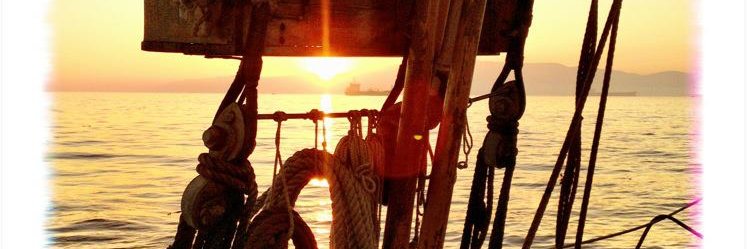 Bergsaker's profile banner image