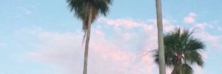playboyhayes's profile banner image