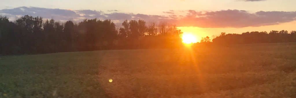 tdparke's profile banner image