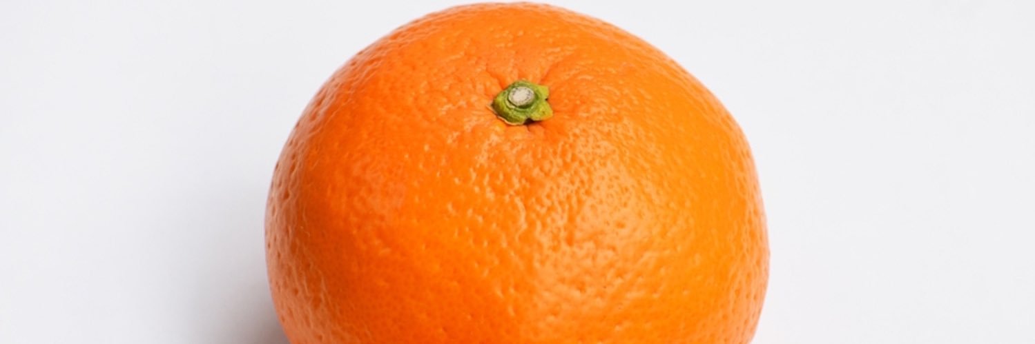 mtjon0530's profile banner image