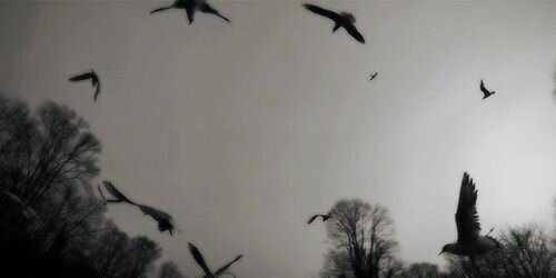 NiallHSCAL's profile banner image