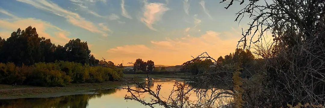 karennnpl's profile banner image