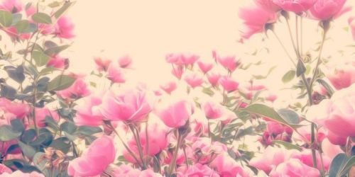 _AlIysonDawson's profile banner image