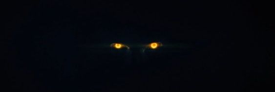 steoliii's profile banner image