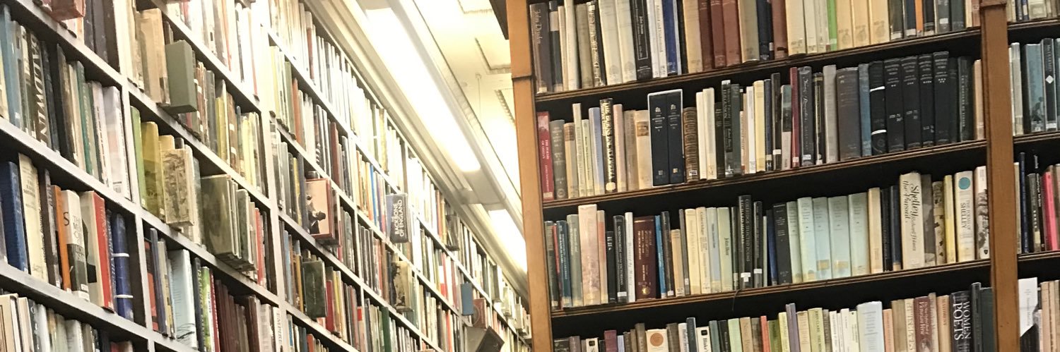 Sarah Sinclair banner