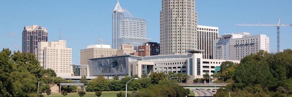 TriAgile Conference banner