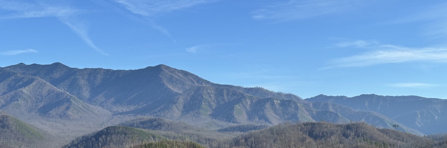 BaudiaHarris's profile banner image