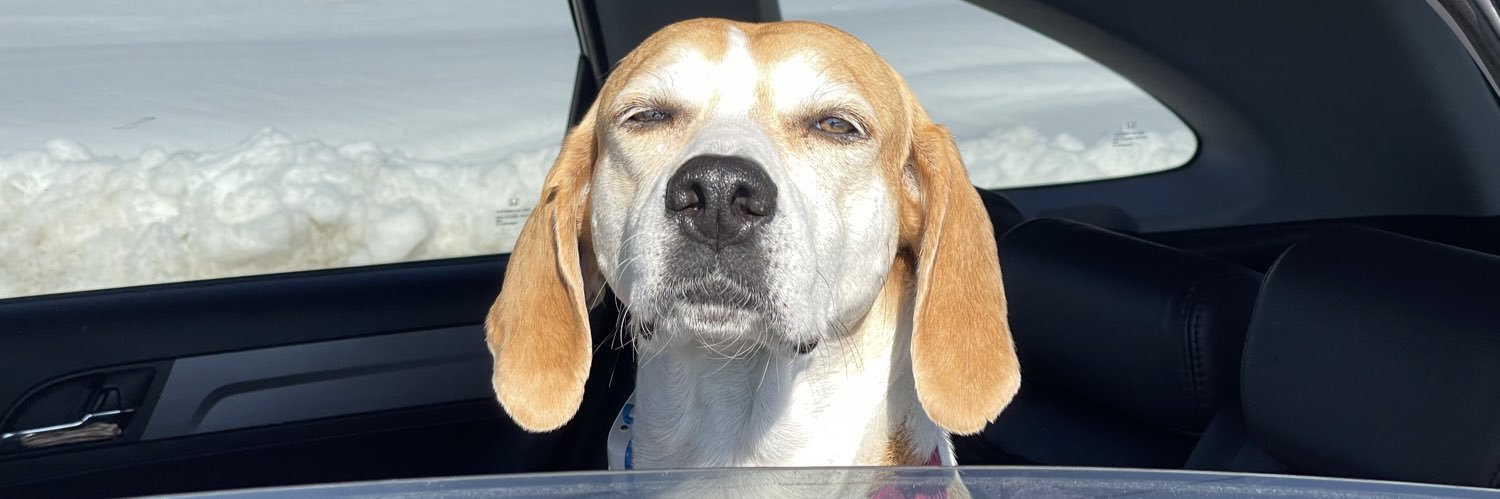 Karen Dancy 🇨🇦🇨🇦🇨🇦 banner