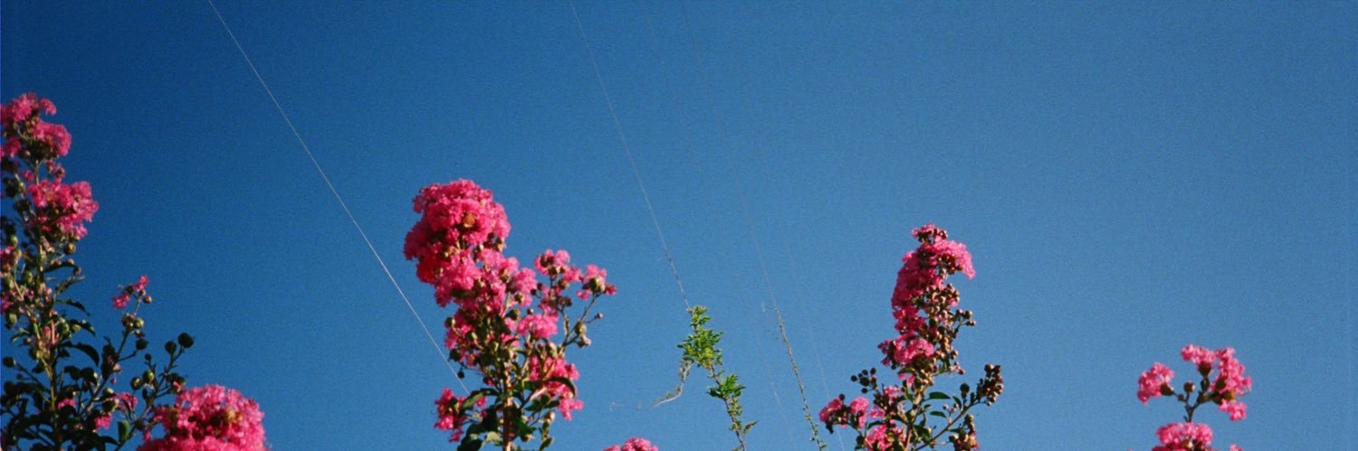minugiussani's profile banner image