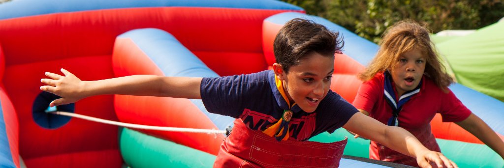 Thurrock Scouts banner