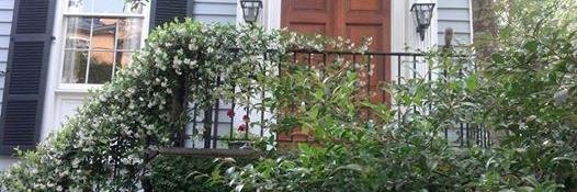 Christina Miller banner