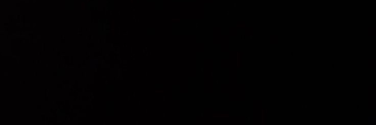 theseleng's profile banner image