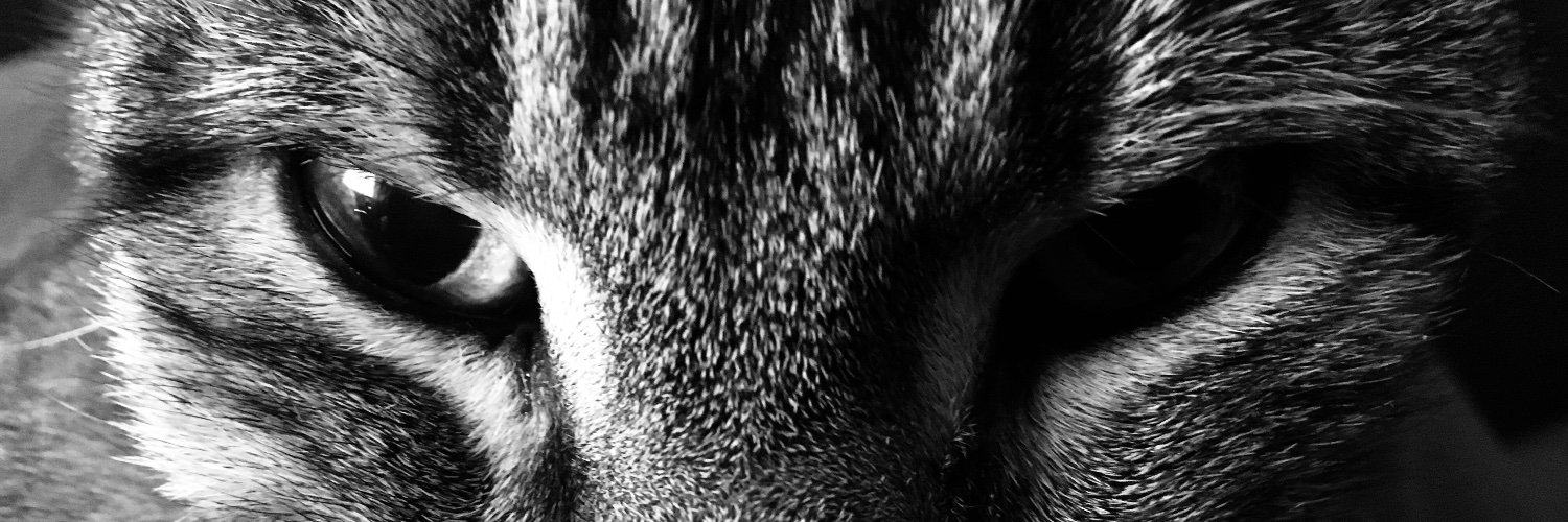 EricLanduyt's profile banner image