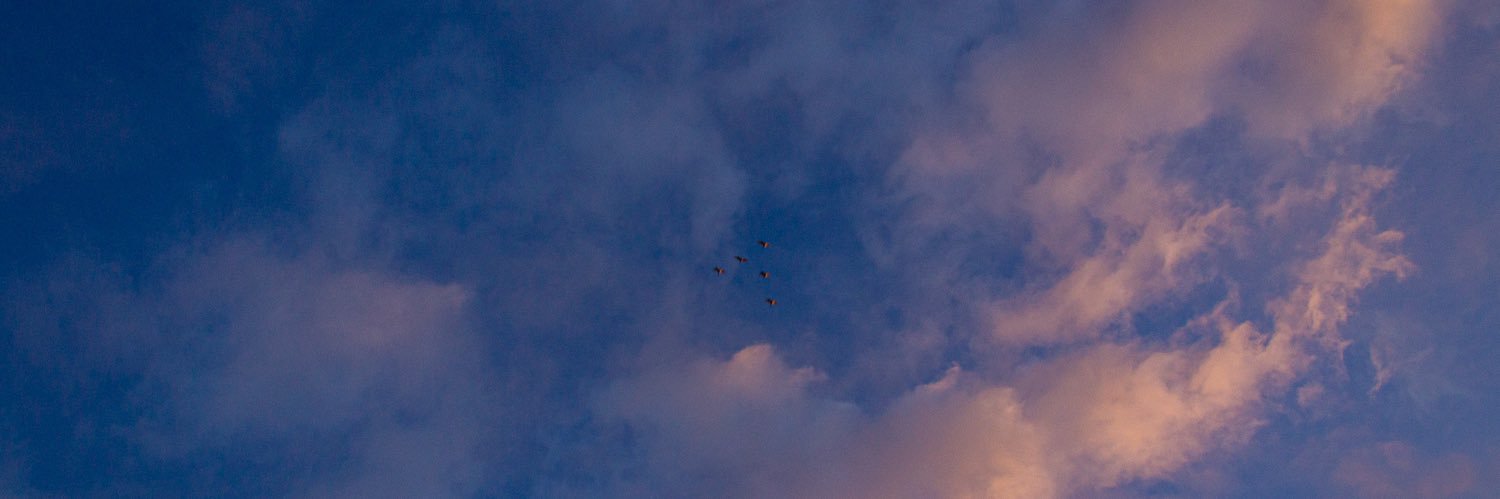 jessebable's profile banner image