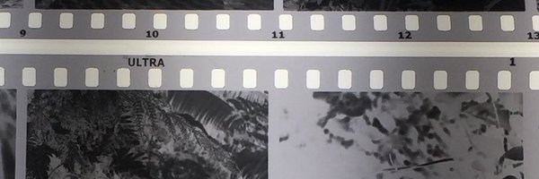 oaktavio Profile Banner