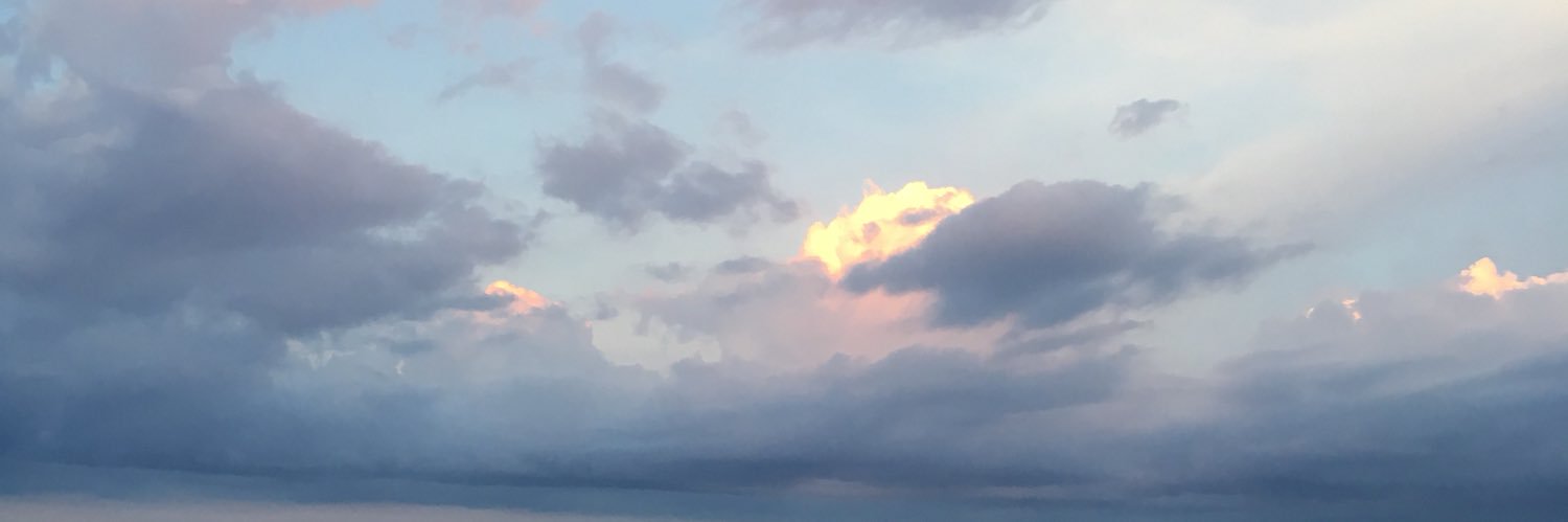 inalees's profile banner image